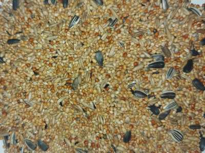Pokarm Papuga "GOLD" 10kg