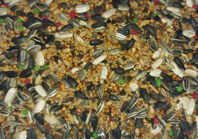 Pokarm Papuga "Średnia" 10kg
