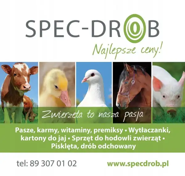 Zielona Zagroda Pasza dla niosek kruszonka