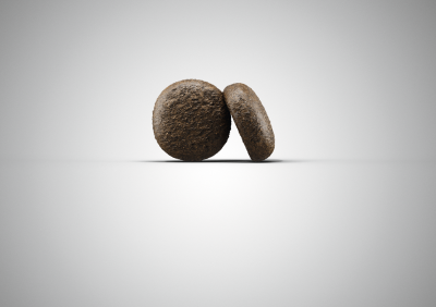 josera-festival-dog-food-croquette.png