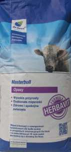 Masterbull-scaled.jpg