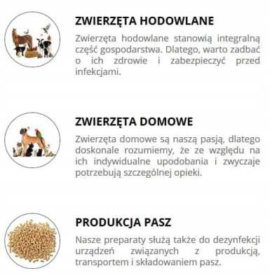 Sandezia sucha dezynfekcja 10 kg