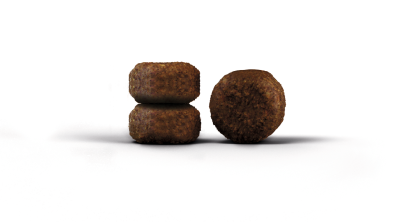 josera-carismo-cat-food-croquette_2_1.png