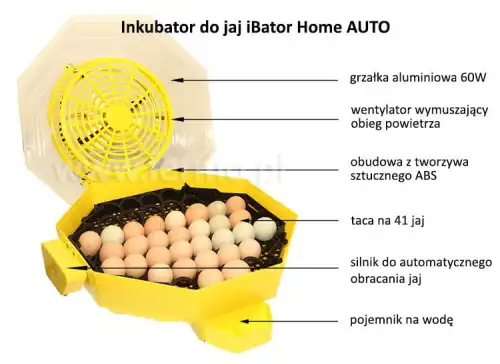 Inkubator, klujnik AUTOMAT IBator Home 60/Cleo5 +zbiornik