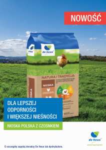 Nioska polska z czosnkiem_PLAKAT net.jpg