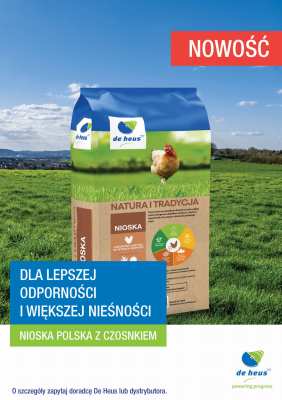 Nioska polska z czosnkiem_PLAKAT net.jpg