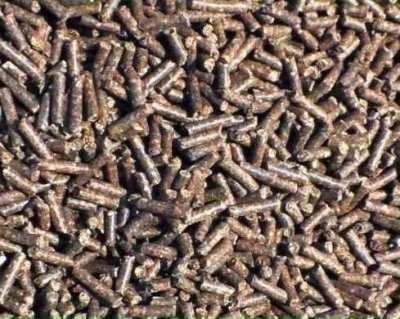 Karma dla karpiowatych, zanęta dla ryb 25kg