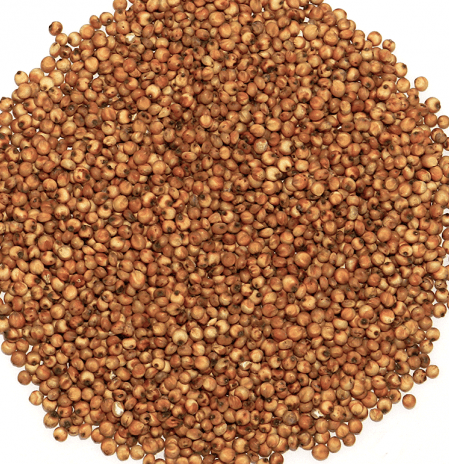 sorgo-czerwone-600x600.png