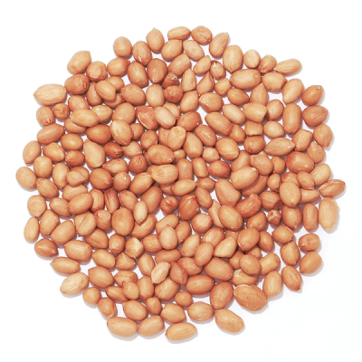 orzeszki-ziemne-ptasie-600x600 (1).png
