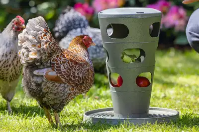 f10754-7_karmnik_zabawka_dla_kur_chicken_tower_na_pasze.webp