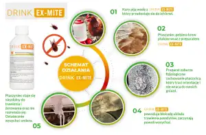 drink-ex-mite-schemat-dzialania.webp