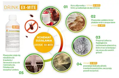 drink-ex-mite-schemat-dzialania.webp