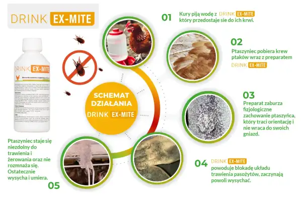 drink-ex-mite-schemat-dzialania.webp