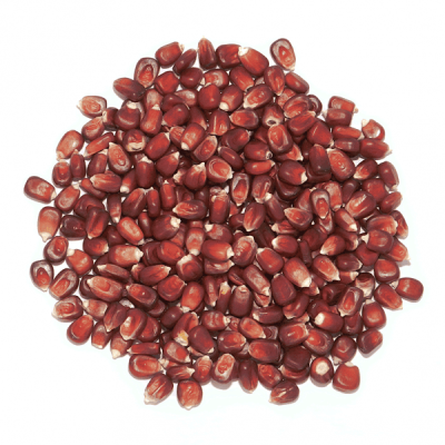 kukurydza-czerwona-600x600.png