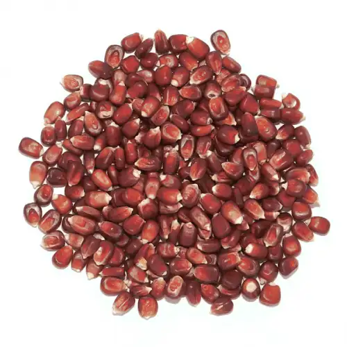 kukurydza-czerwona-600x600.png