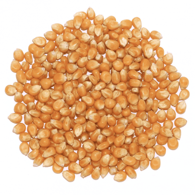 kukurydza-popcorn-600x600.png
