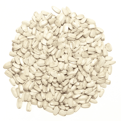slonecznik-bialy-600x600.png