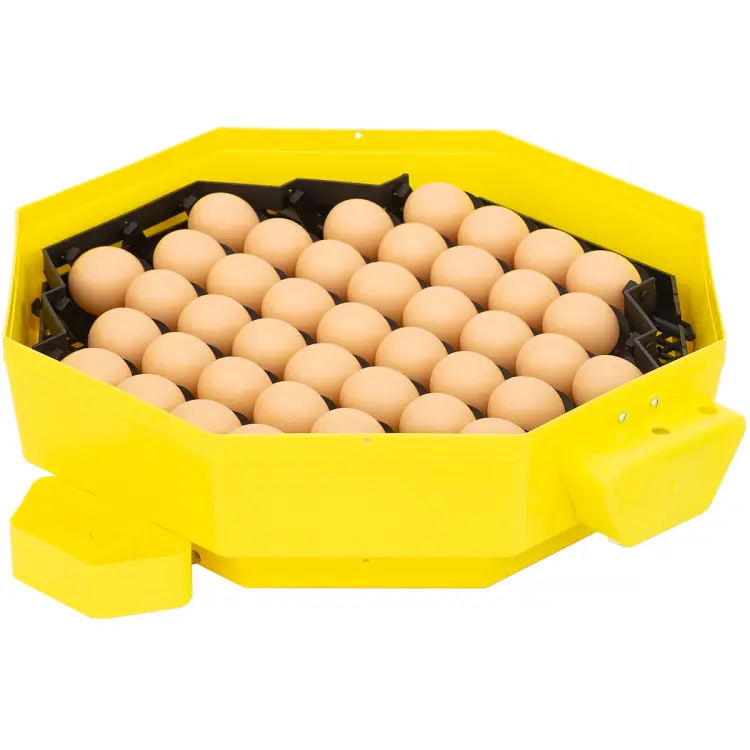 f2365-4_inkubator_do_jaj_ibator_home_auto_z_silnikiem_automatyczny_obrot_jaj_klujnik.webp