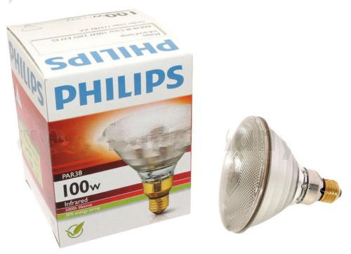 Promiennik - lampa grzejna biała żarówka PHILIPS 175WAT (PAR38 IR 175C)