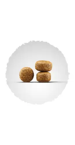 Karma dla psów Psi kąsek Biofeed 20 kg