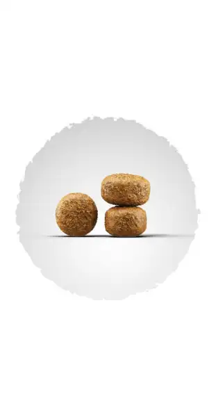 Karma dla psów Psi kąsek Biofeed 20 kg