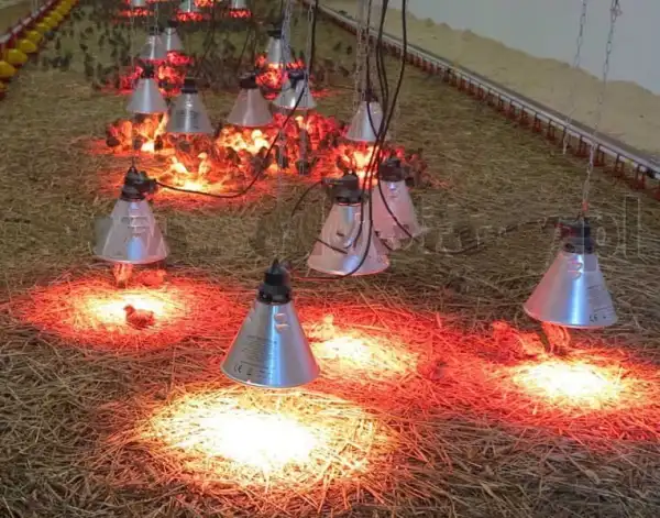 Oprawa lampy grzewczej, reflektor z przełącznikiem